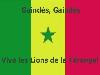 GAINDE 100%
